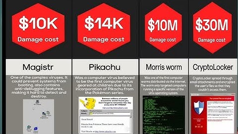 Computer Virus Pandemics || Damage Comparison