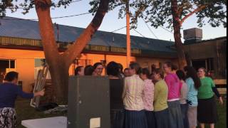 Team Building Activity - Trust Fall - 4