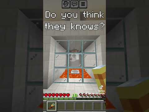 Do you think they knows? #minecraft #shorts #minecraftshorts #minecraftmemes #minecraftmoments #fyp