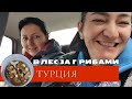 Vlog: В лес за грибами в  Турции.Демре.