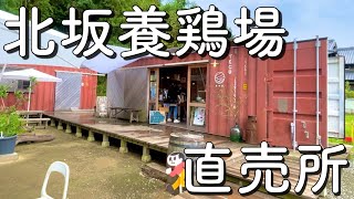 【Vlog】兵庫県淡路市「北坂養鶏場直売所」〜たまごまるごとプリンを求めて〜