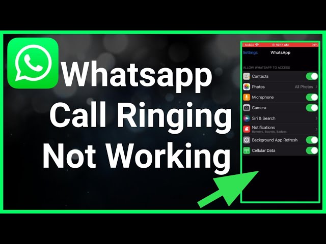 Top 21 Things About WhatsApp Calls You Might Want to Know