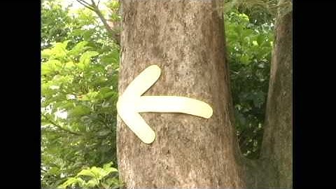 開南大學資傳系原創MV"拼圖".wmv