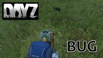 DayZ Standalone  0.58 Item Bug