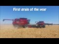 Harvest 2015 in Australia