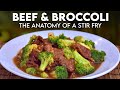 Basics beef and broccoli 