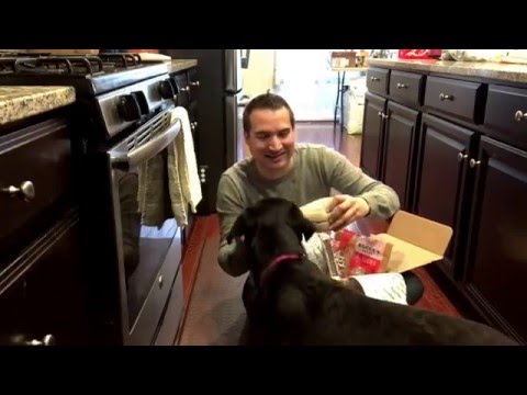 barkbox-large-dog-extra-toy-april-2016-#pepper-#rottweiler