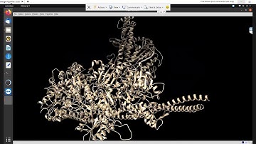Computational Biophysics 11