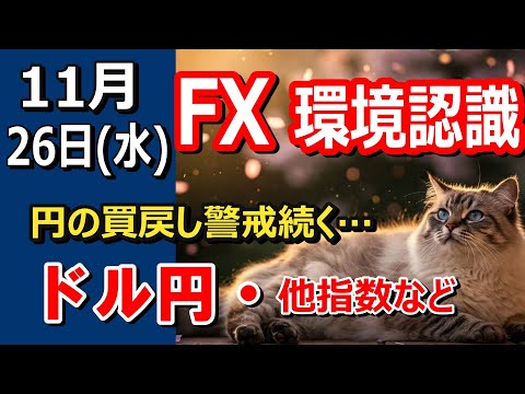 【TAKA FX】円の買戻し警戒続く…　ドル円他各通貨の環境認識解説。各種指数、GOLDなど　11月26日(水)