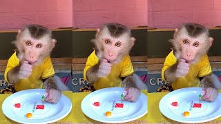 Baby monkey cute review random | May 2024 🐵😆 ASMR 29