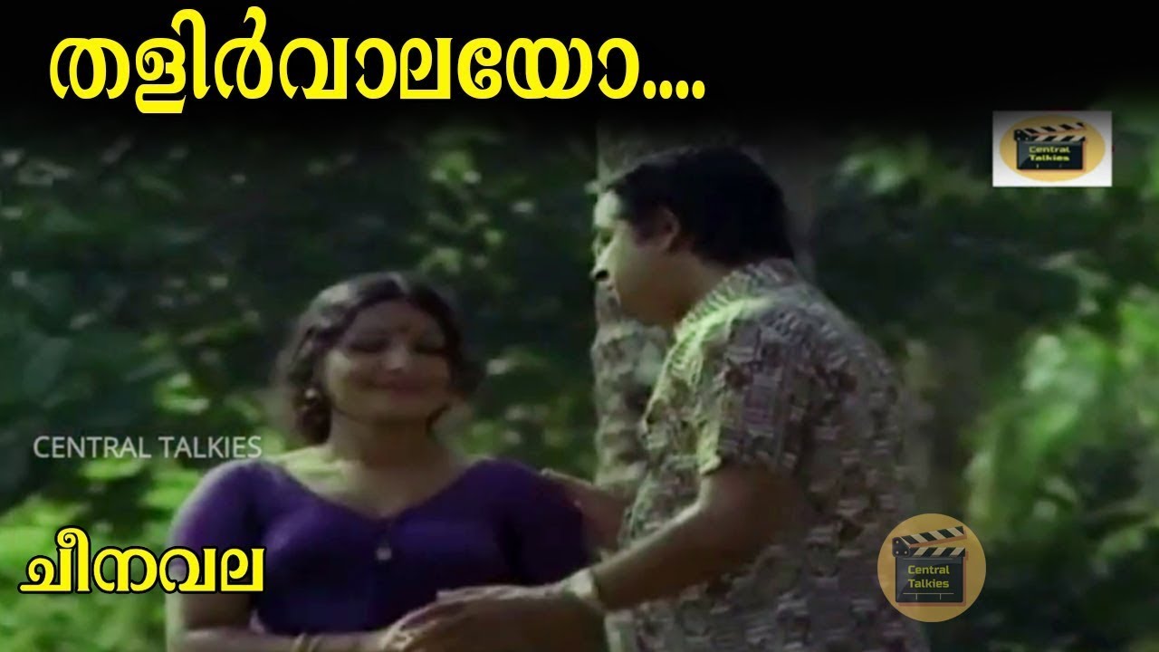 Talirvalayo  Cheenavala  Movie Song  Vayalar Ramavarma  KJYesudas  CentralTalkies