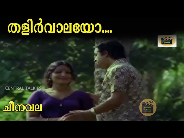 Talirvalayo | Cheenavala | Movie Song | Vayalar Ramavarma | K.J.Yesudas | CentralTalkies class=