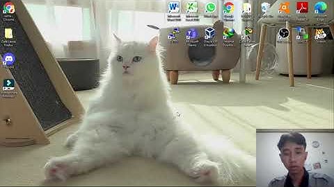 Konfigurasi Control Panel Hosting menggunakan Ajenti