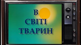 картинка: В світі тварин.