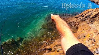 MACKEREL MAYHEM - Insane LB fishing POINT SAMSON