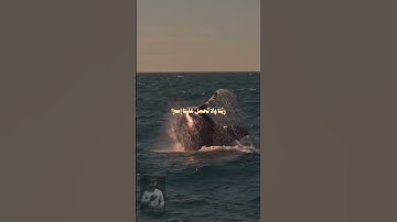 قرآن كريم #coran #قرآن #المنشاوي #تيك_توك #اكسبلور #لايك قرآن