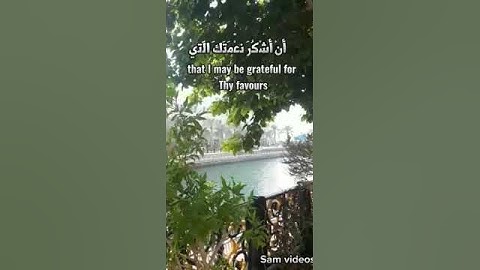 فتبسم ضاحكا من قولها وقال ربي اوزعني ان اشكر نعمتك #قرآن  #اسلام_صبحي #سورة_النمل