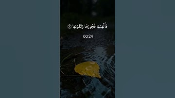 سورة الشمس القارئ أحمد العجمي