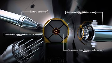 Scanning Electron Microscope Detectors