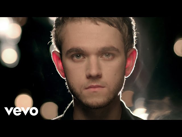 Zedd ft. Hayley Williams - Stay The Night