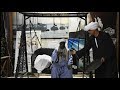 الحاج الضوى اشتغل غفير على مطعم سياحي قلبه غرزه شاى الحاج الضوى اشتغل غفير على مطعم سياحي قلبه غرزه شاى