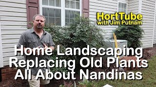 Home Landscaping - Replacing Old Plants - All About Nandinas