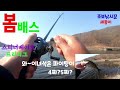 봄배스낚시/한천저수지배스/스피너베이트/프리리그
