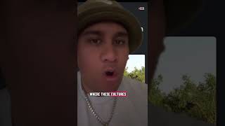 Download Lagu Should maori be allowed to build Marae in Australia? MP3 Download Lagu Should maori be allowed to build Marae in Australia? MP3