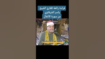 ترتيل #القرآن_الكريم بصوت #الشيخ_ياسر_الشرقاوي #قرآن #تلاوات #قرآن