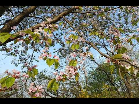 [TJ노래방라운지] 사랑의눈동자 - 유익종