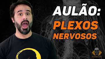 Qual a função do plexo submucoso?
