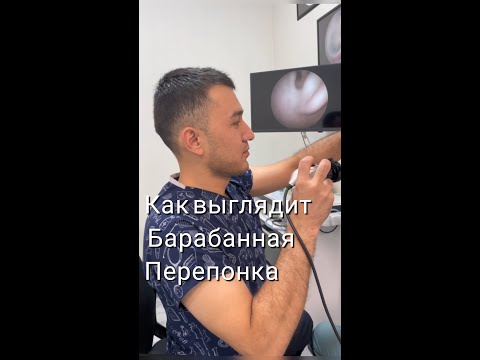 Видео: Изрязването на уши боли ли кучета?