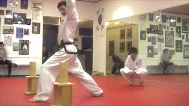 Kwon, Jae-Hwa Taekwon-Do presented by Salvatore Te...