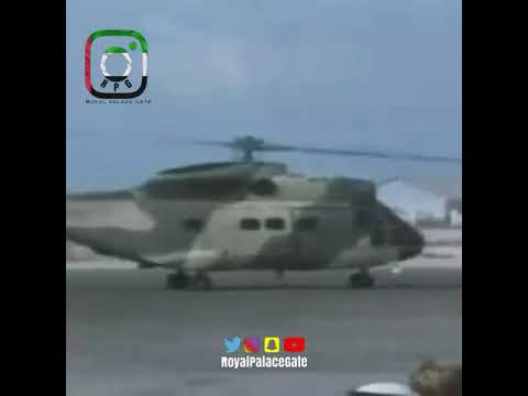 زانها زايد وزينها وزاد