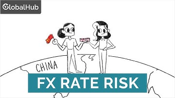 Foreign Exchange Rate Risk