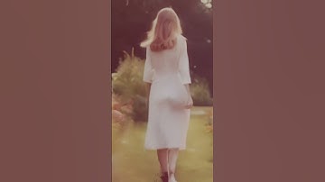 Elevate Your Video Projects with AIArtistry