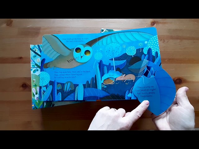 Usborne Peep Inside 絵本セット Peep Inside 6 Books Collection Box Set by Usborne (Zoo