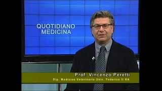 Quotidiano Medicina 13/3/15 Focus.Salvare razze in estinzione (anche a tavola).Vincenzo Peretti