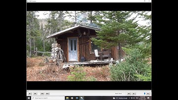 Hunting Moose in Newfoundland