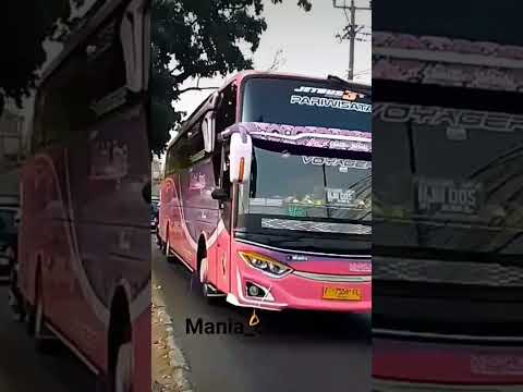 Medal Jaya Cibinong: Mengantar Petualangan, Mengukir Kenangan di Jalan Raya