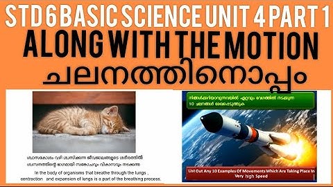 Std 6 Basic Science Unit 4 Part 1 | Along With The Motion | ചലനത്തിനൊപ്പം | Kite Victers Class