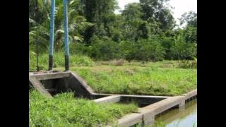 Mus Mulyadi : Salahku opoh