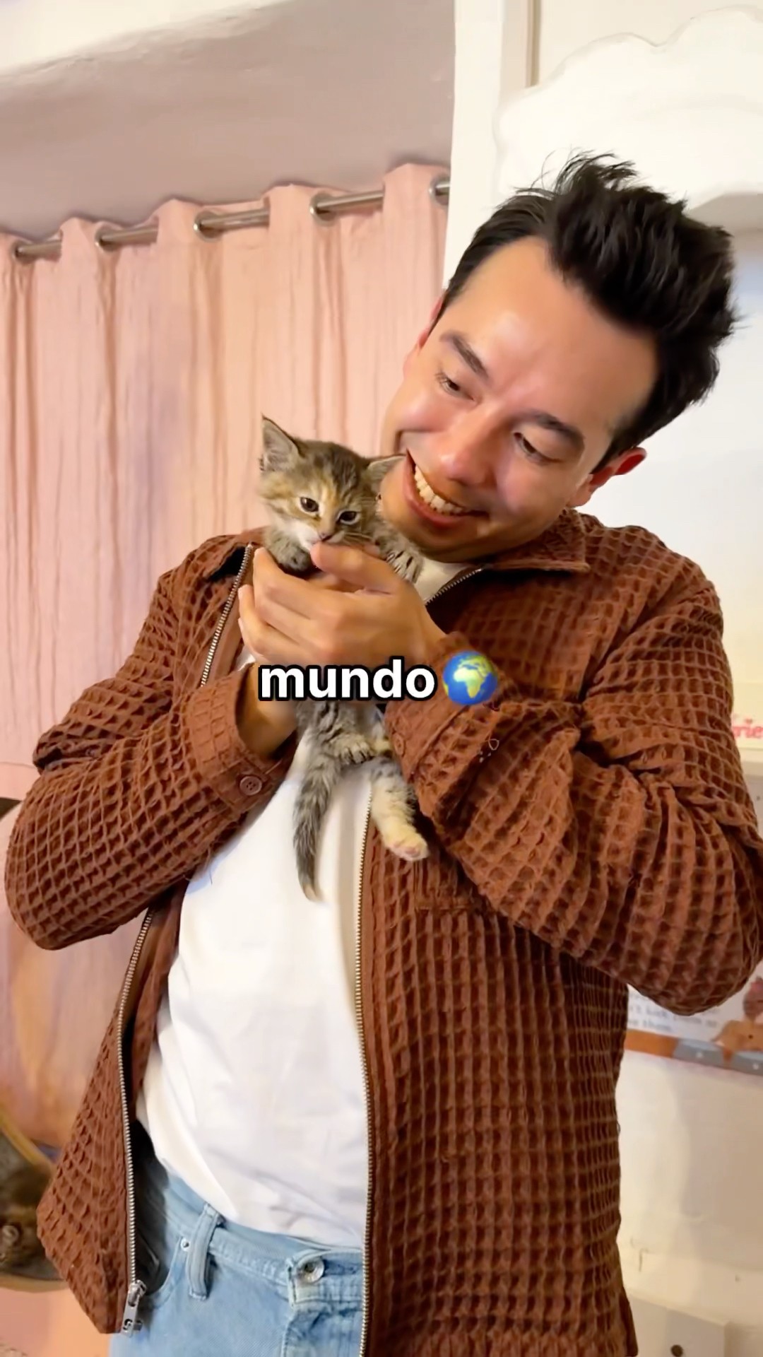 El Gato Más Pequeño del Mundo ?