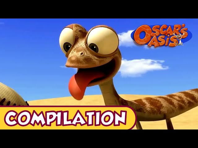 Oscar no Oasis velocidade máxima! #animation #cartoon #oscarsoasis