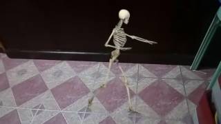 Fxguru dancing skeleton