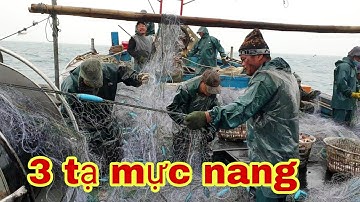 Điểm chúa, Tàu chú phương kéo mẻ lưới hơn hai tạ mực nang và nhiều loại tôm cá #danbien#danhbatca