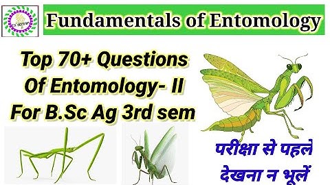 Top 70+ Questions of fundamentals of  Entomology -II for B.Sc Ag 3rd sem.