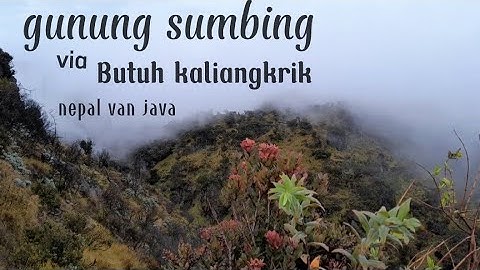 PENDAKIAN GUNUNG SUMBING Via BUTUH KALIANGKRIK // NEPAL Van JAVA#, TEMANGGUNG, KABUPATEN MAGELANG.
