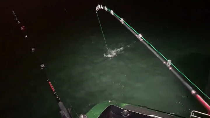 Lake Erie November walleye