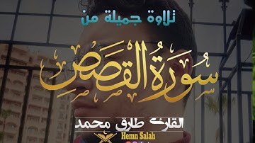 تلاوة جميلة من _سورة القصص _ قصة قارون "| طارق محمد Surah Al_Qassas”| Taraq Muhammad